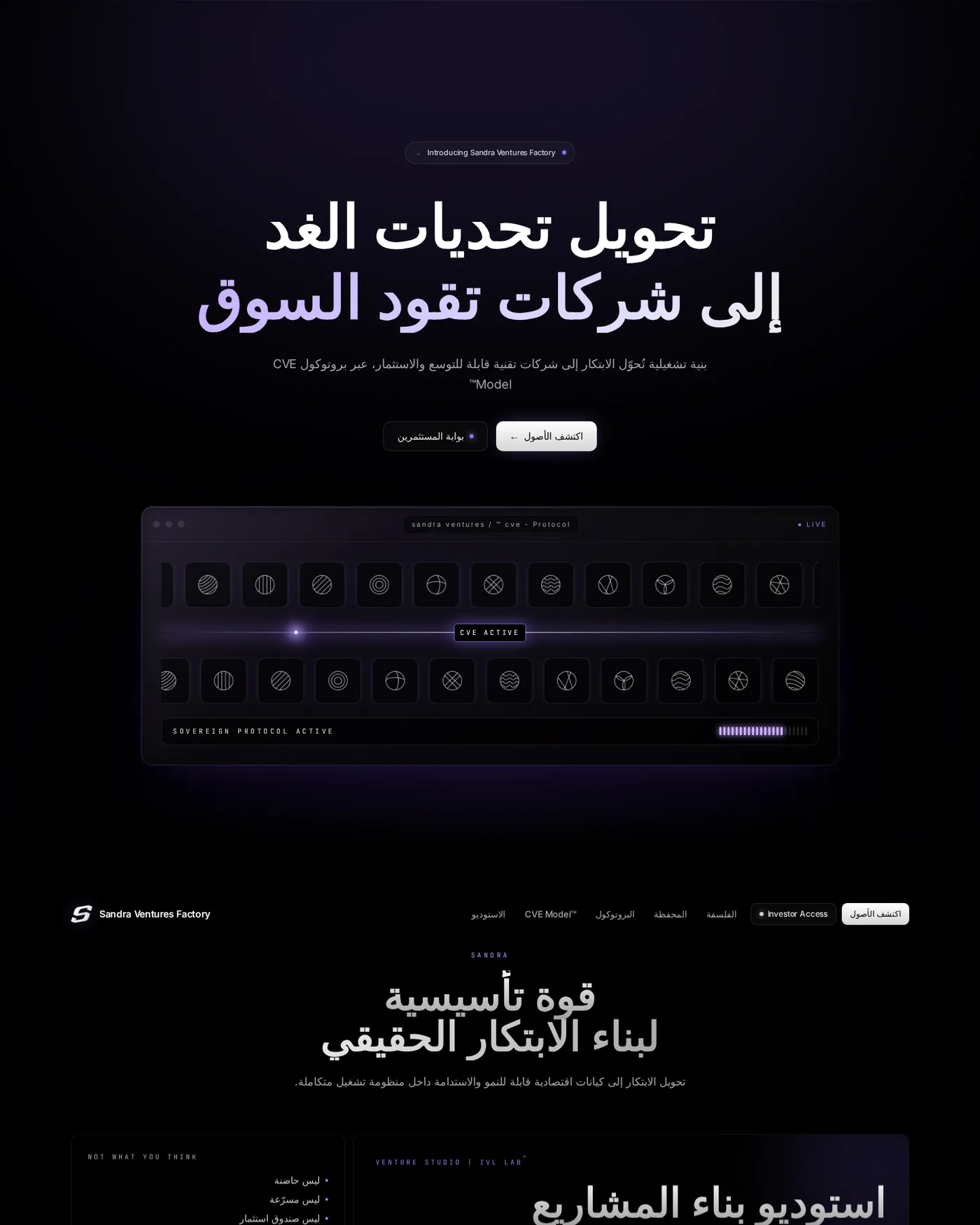 Sandra Ventures website